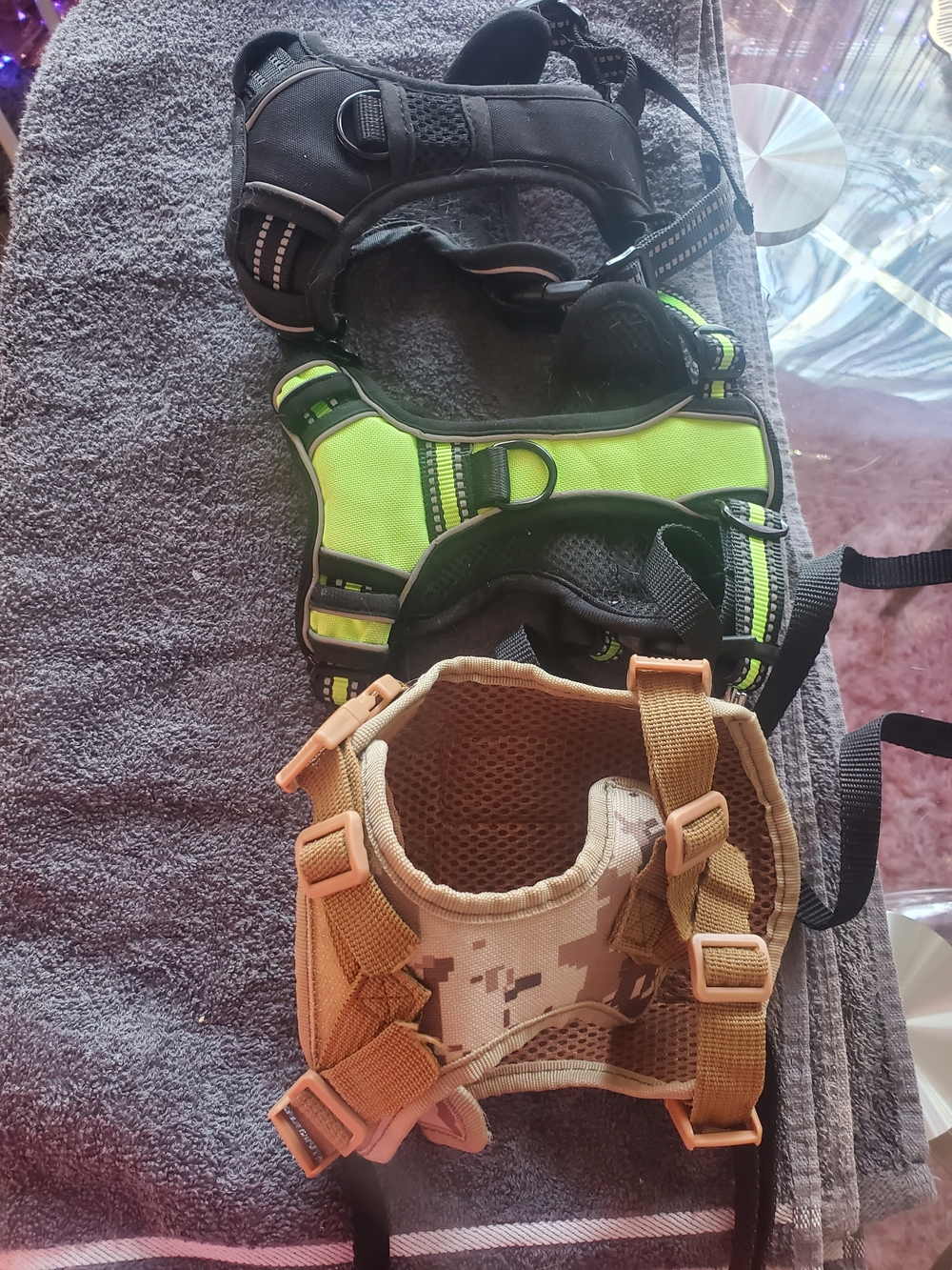 3 Xsmall Dog Harness Up To 10 Lb